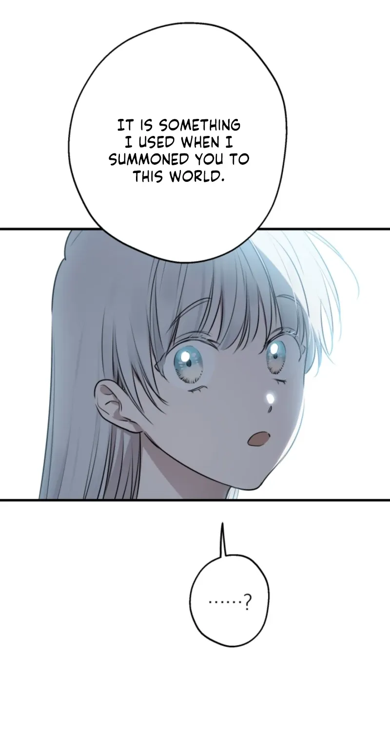 The World