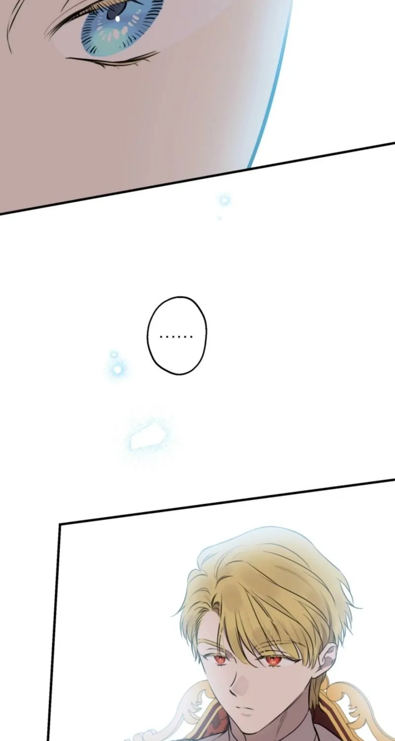 The World