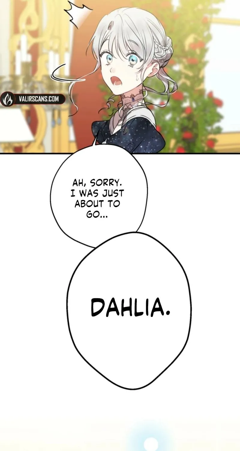 The World