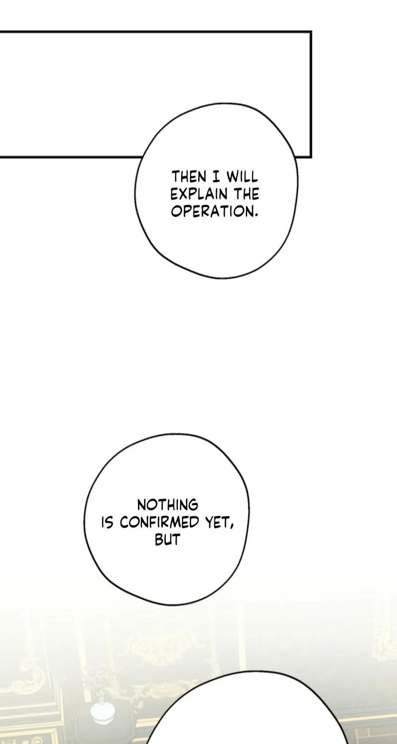 The World