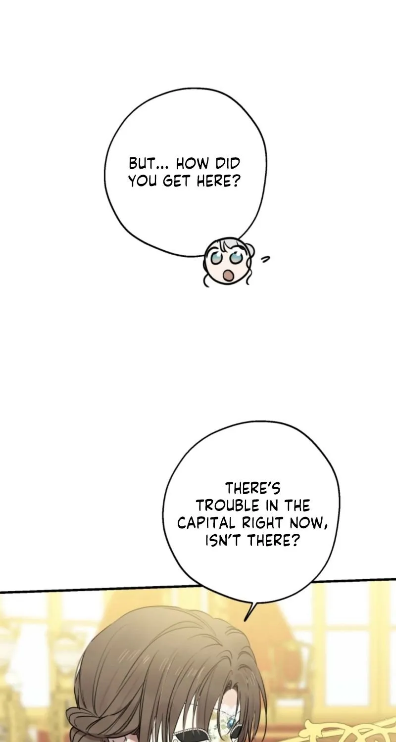 The World