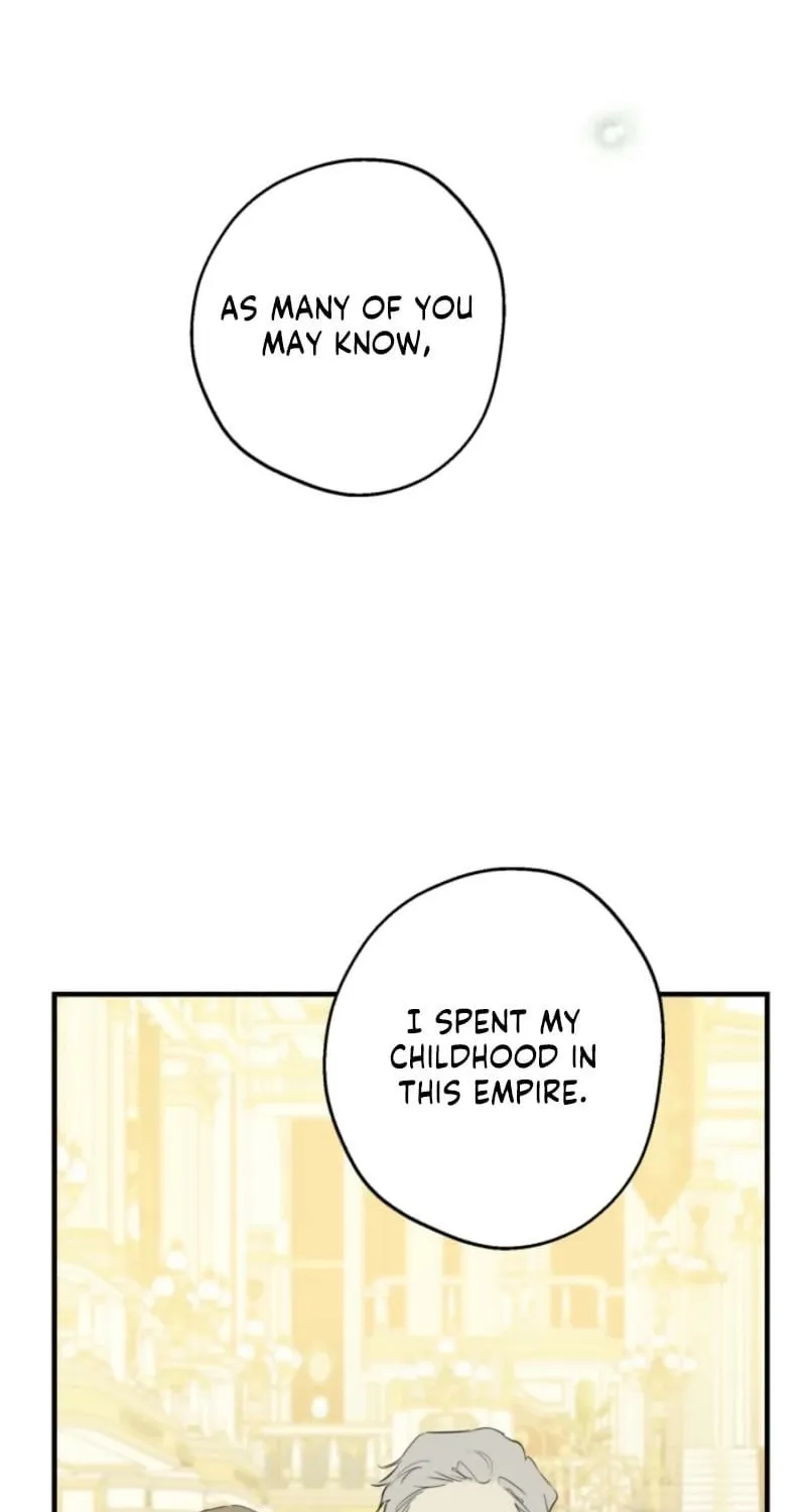 The World