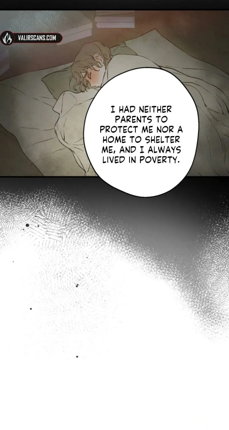 The World