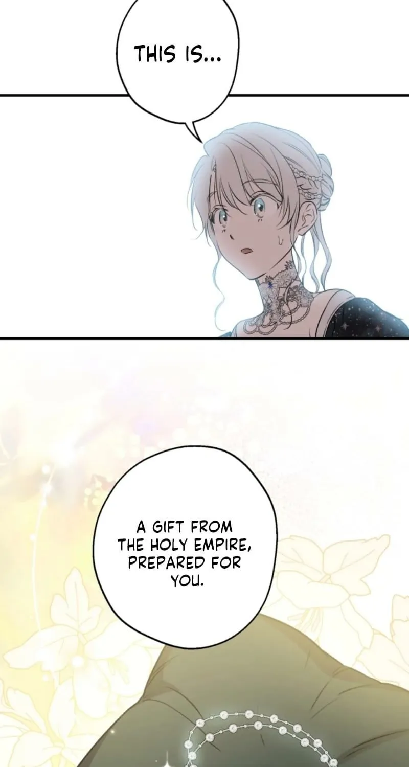 The World