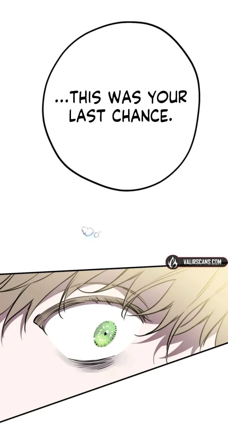 The World