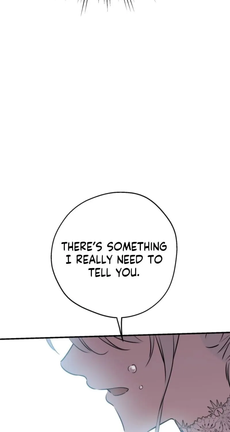 The World