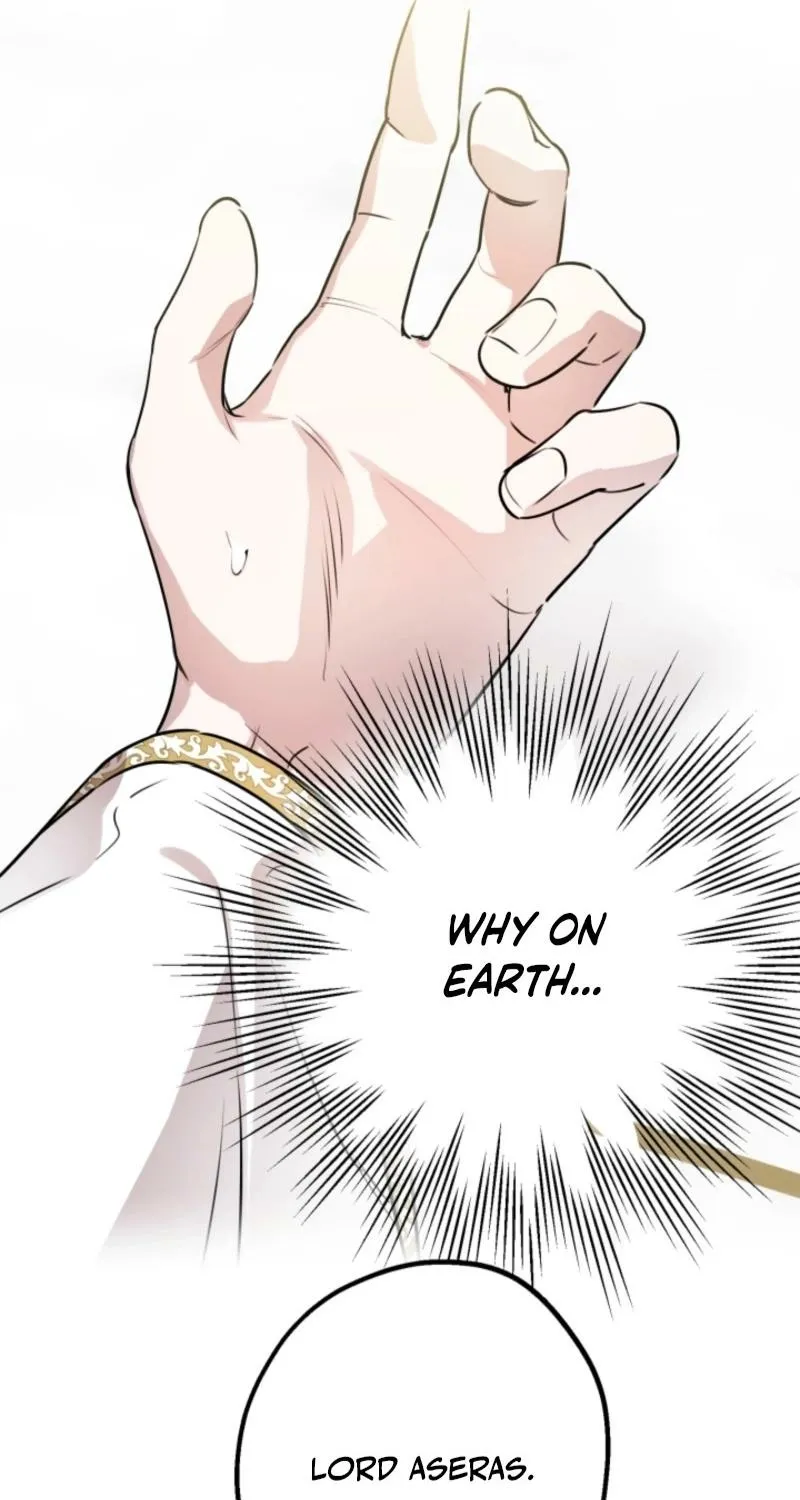 The World