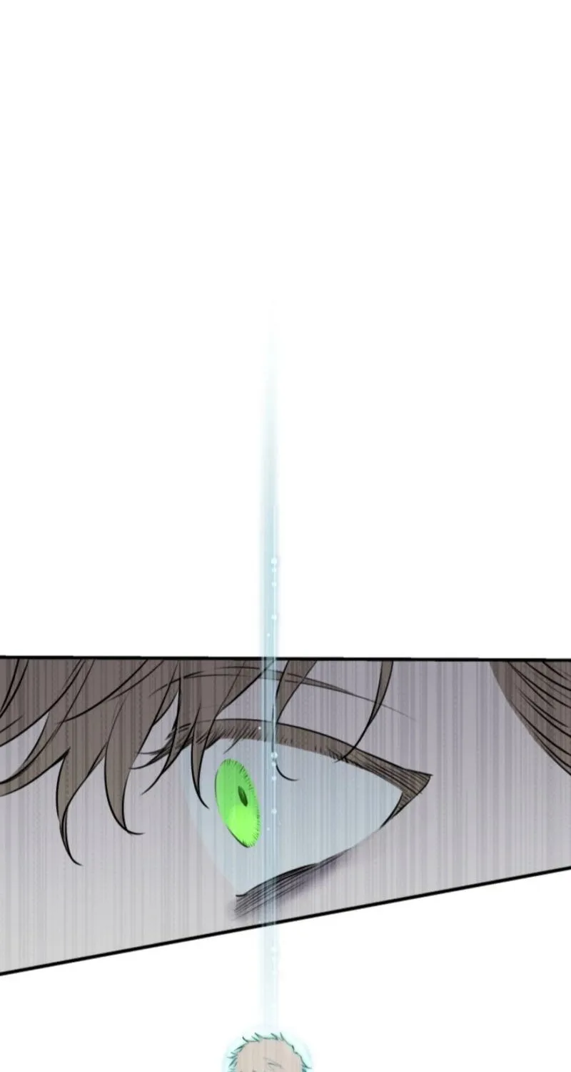 The World