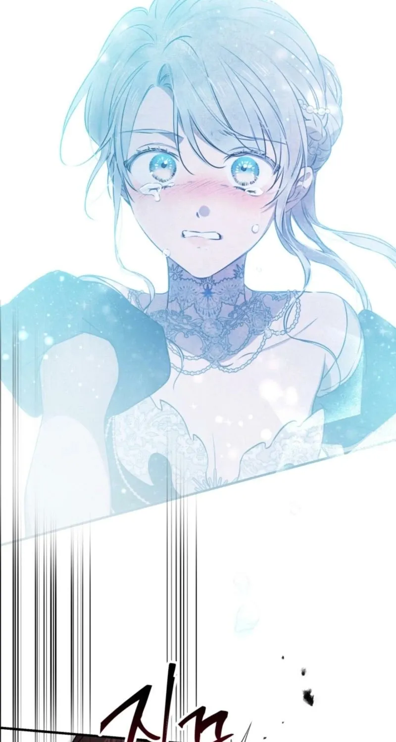 The World