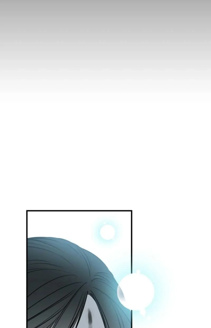 The World