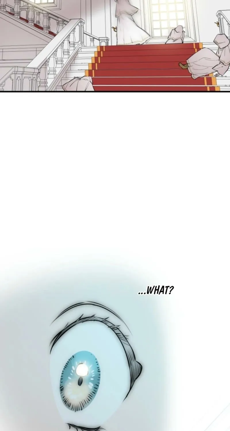 The World