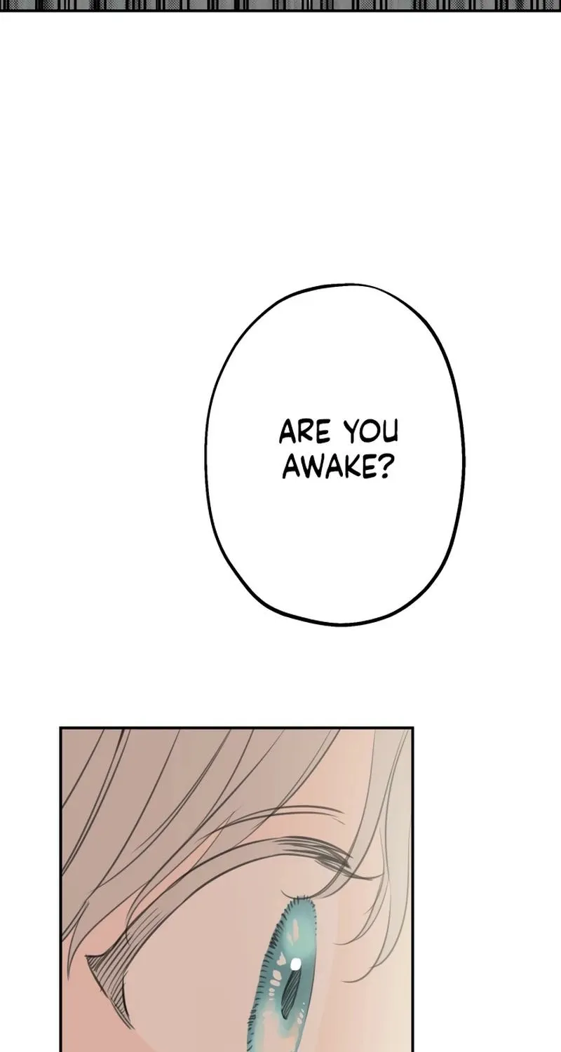 The World