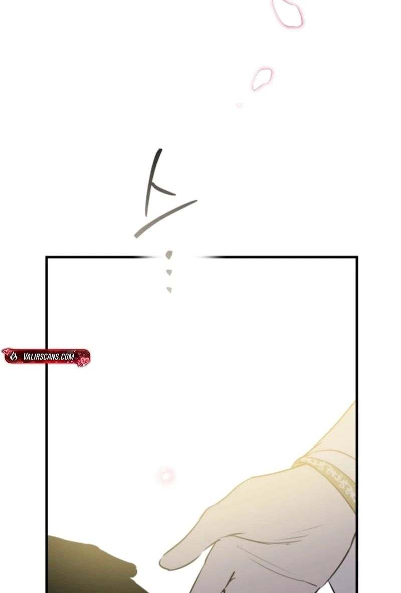 The World