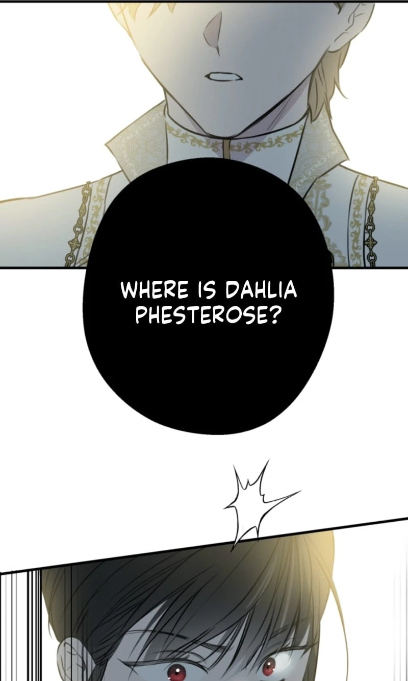 The World
