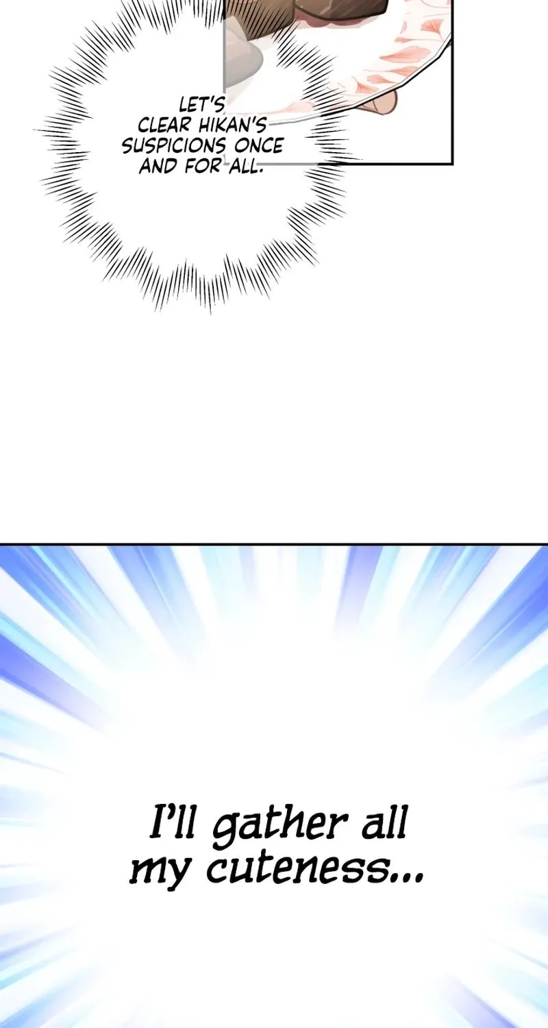 The World