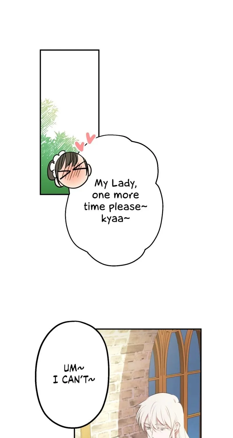 The World