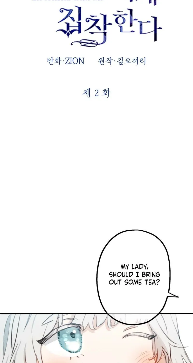 The World