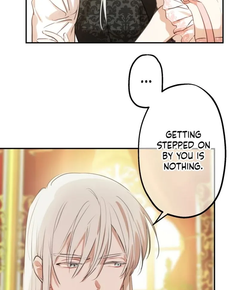 The World