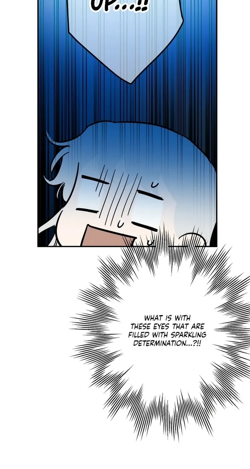 The World