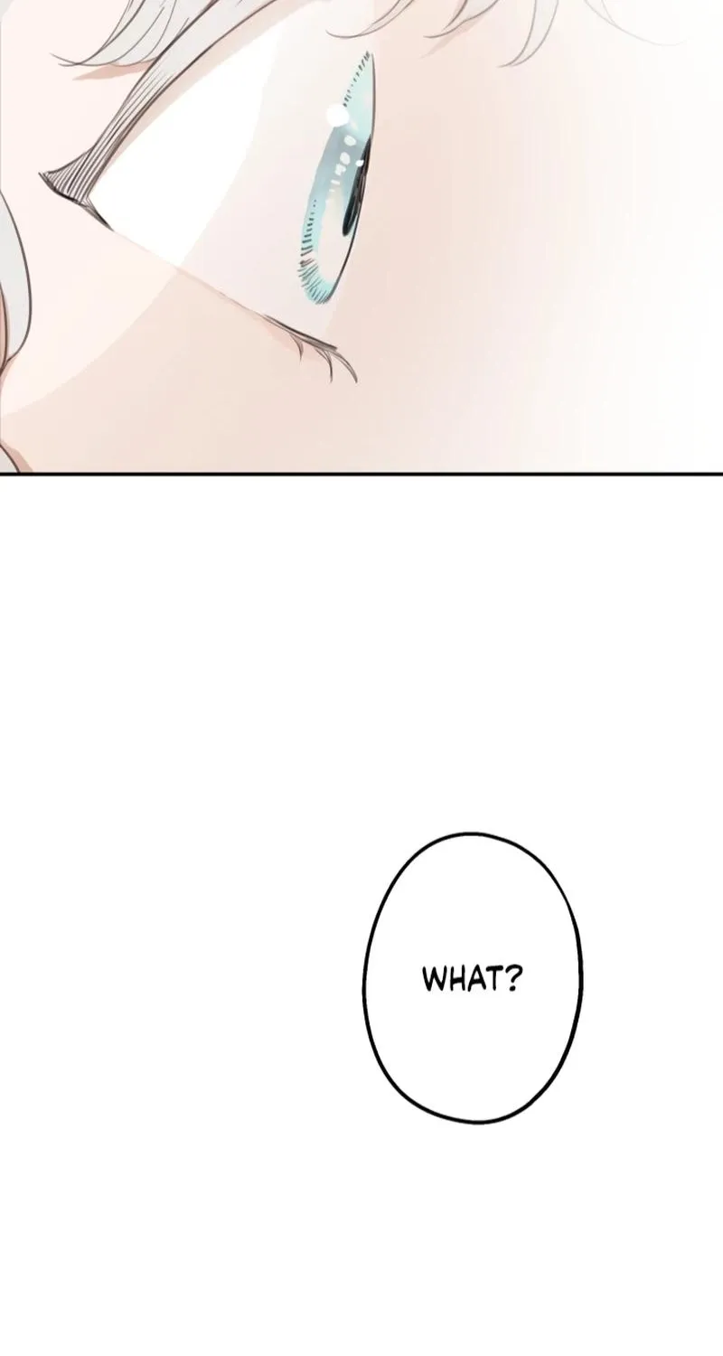 The World