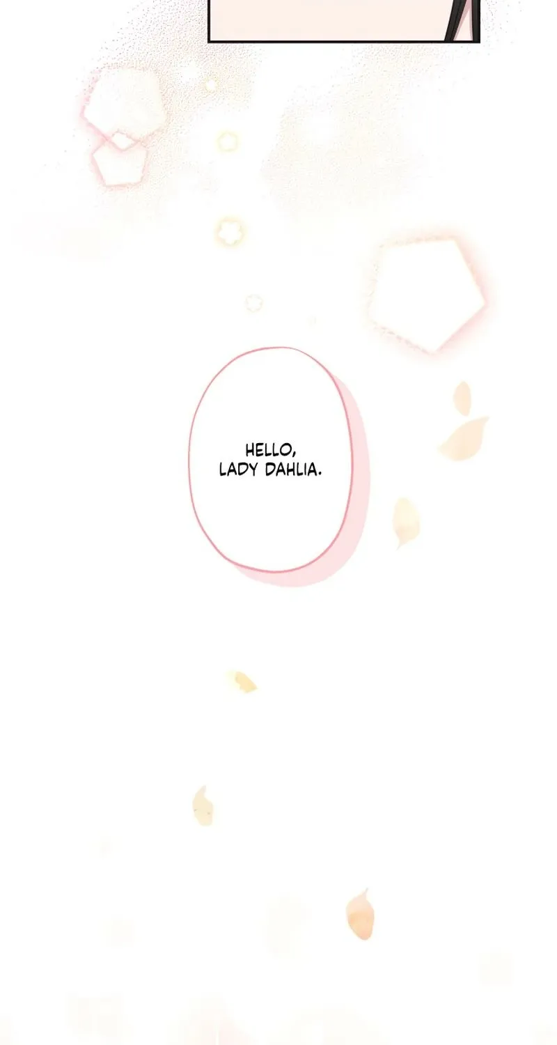 The World
