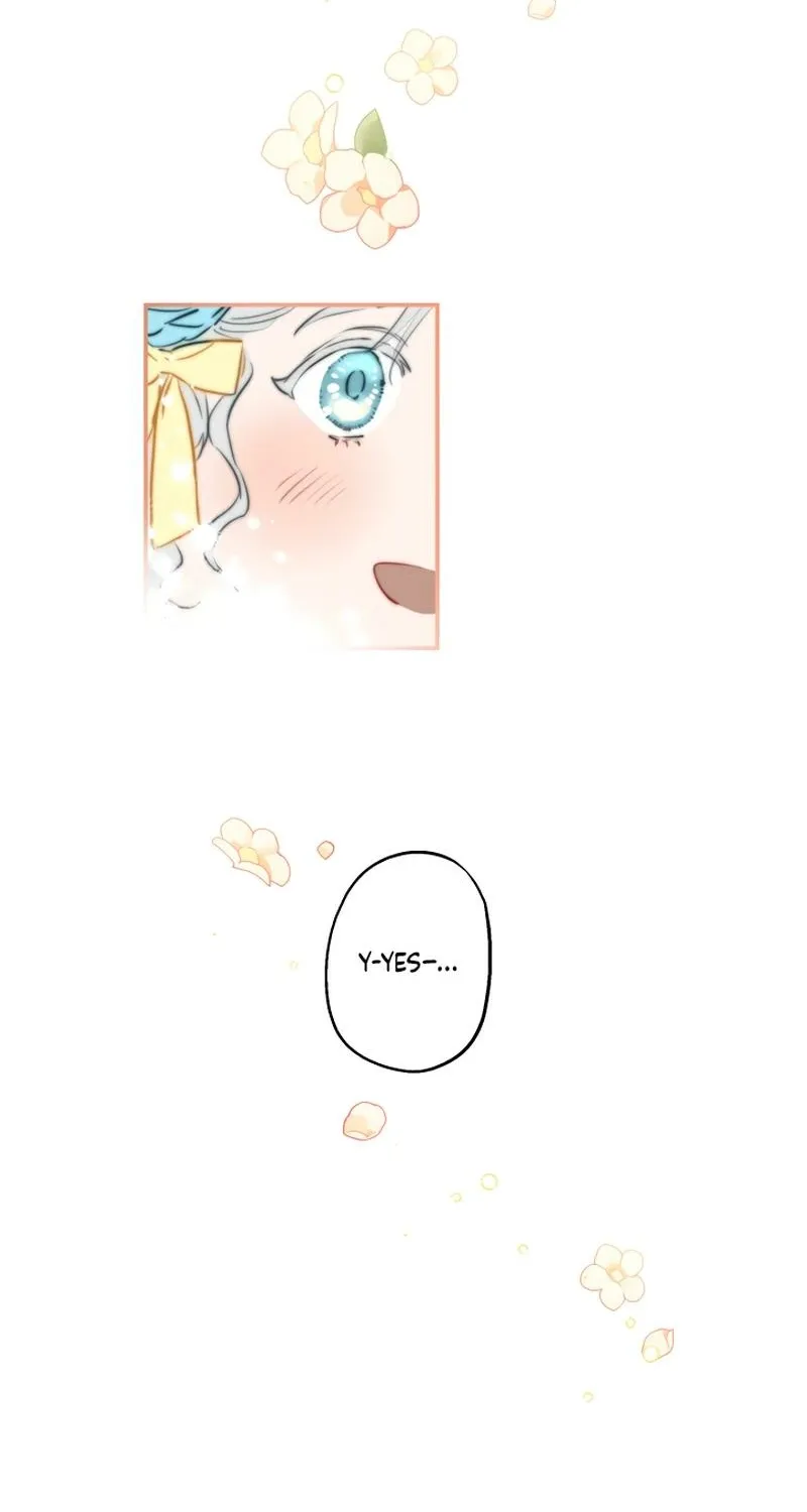 The World