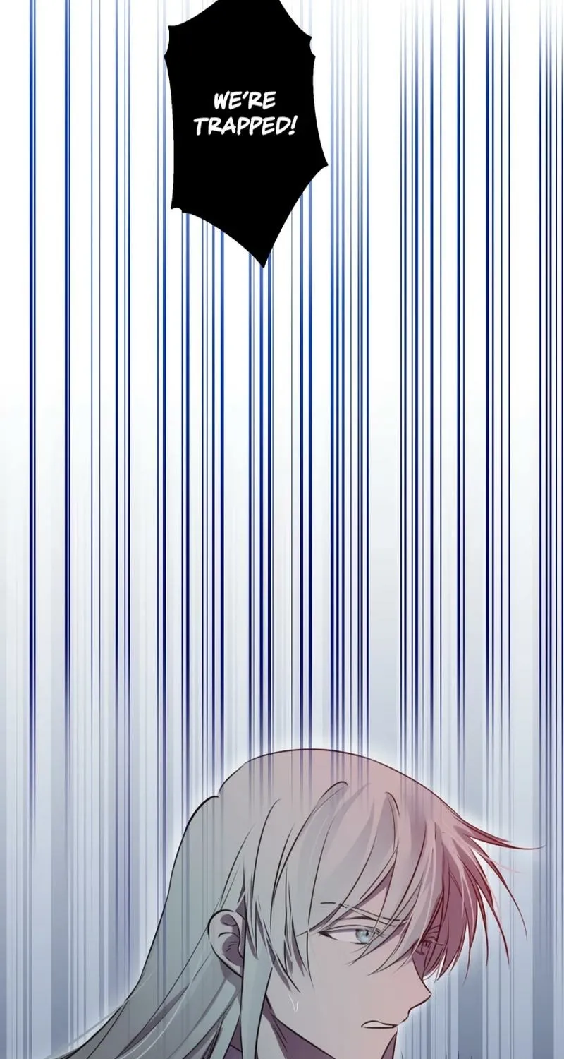 The World