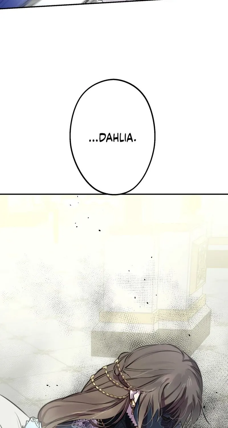 The World