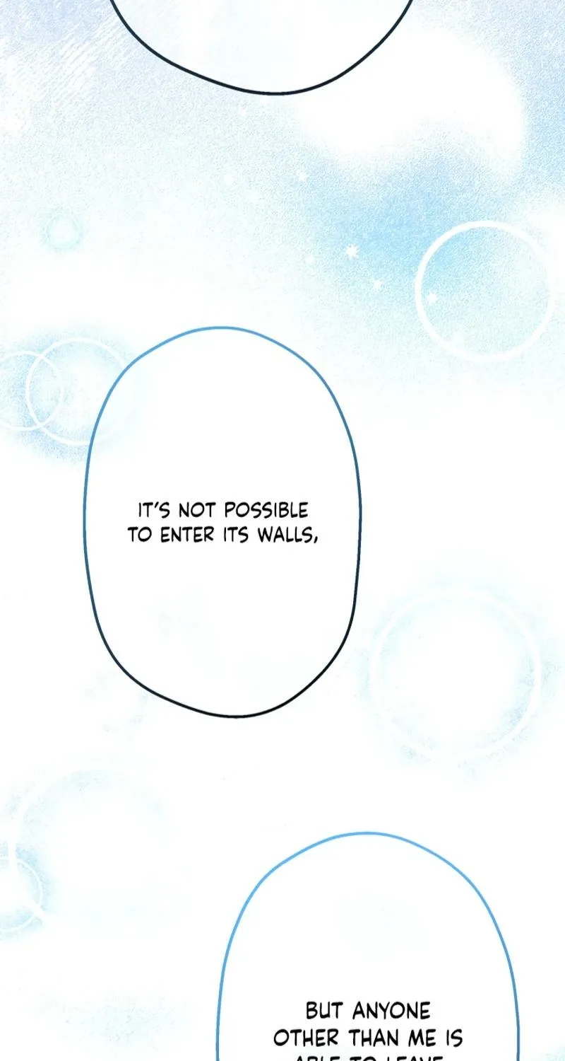 The World