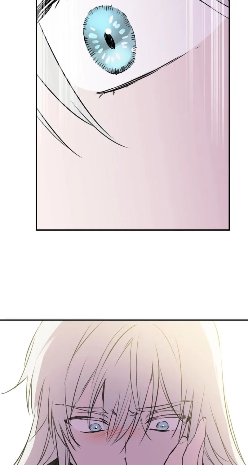 The World