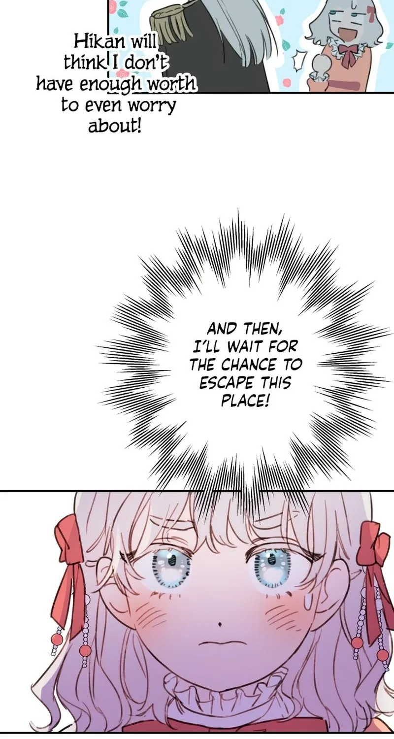 The World