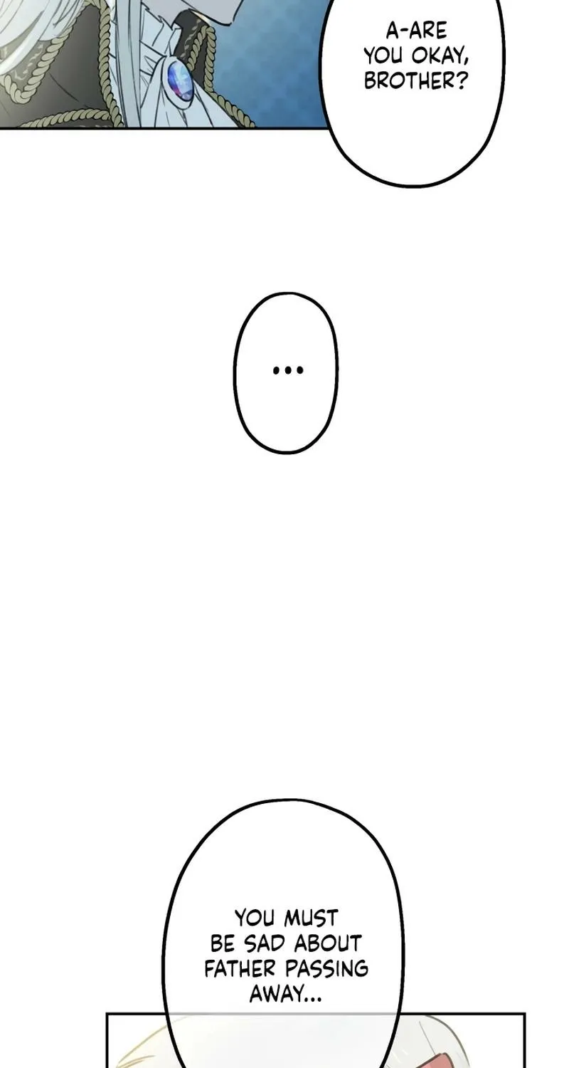 The World