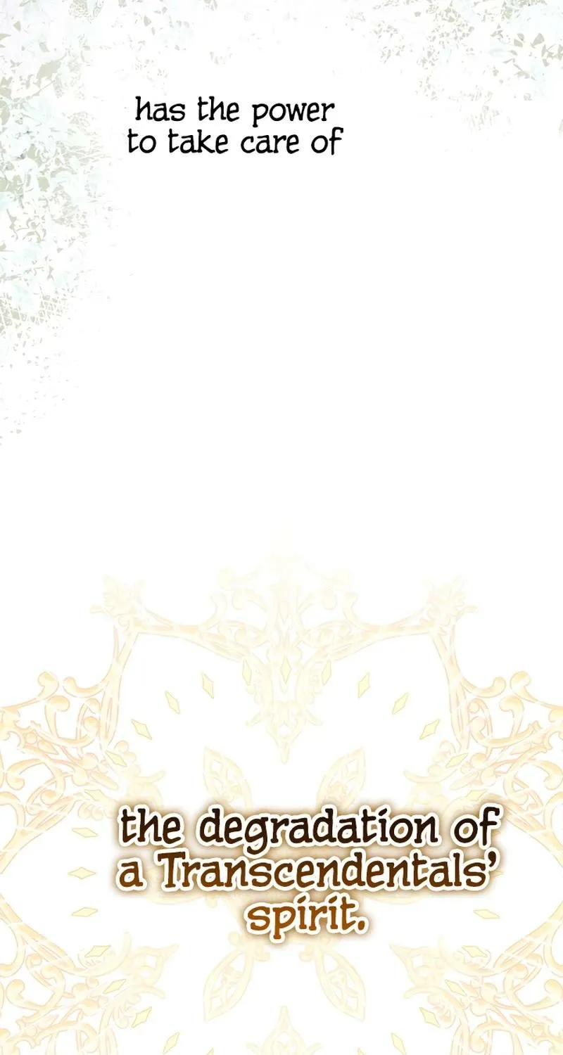 The World