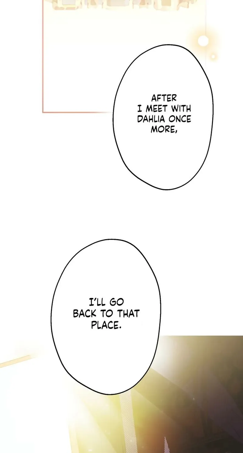 The World