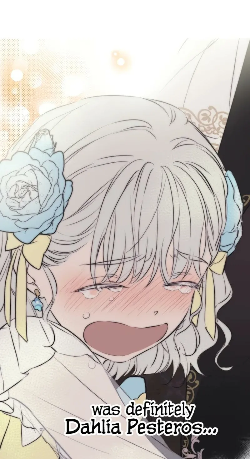 The World