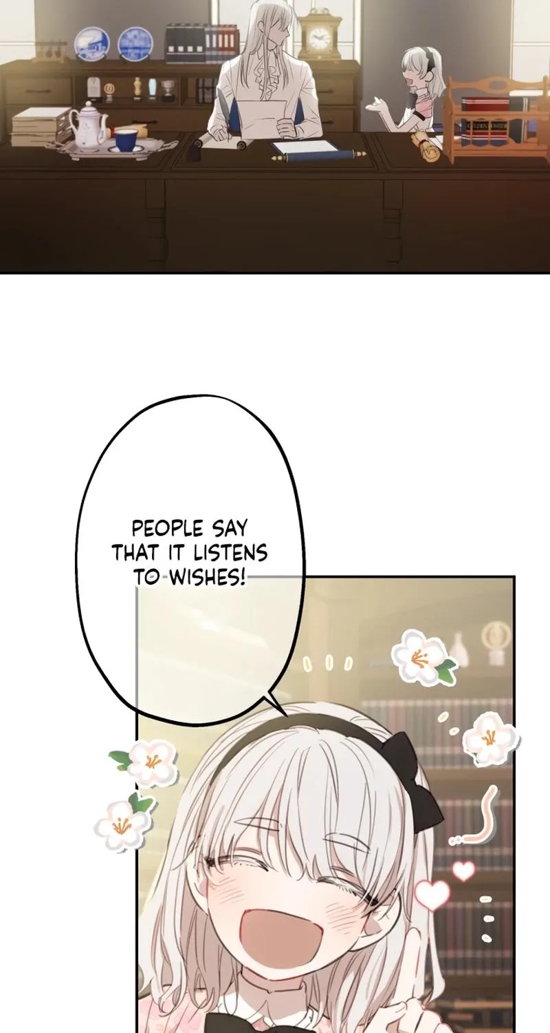 The World
