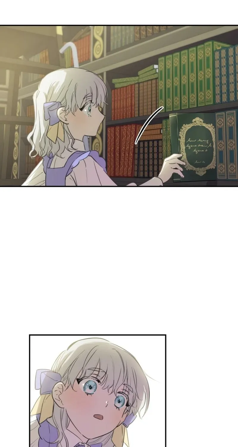 The World