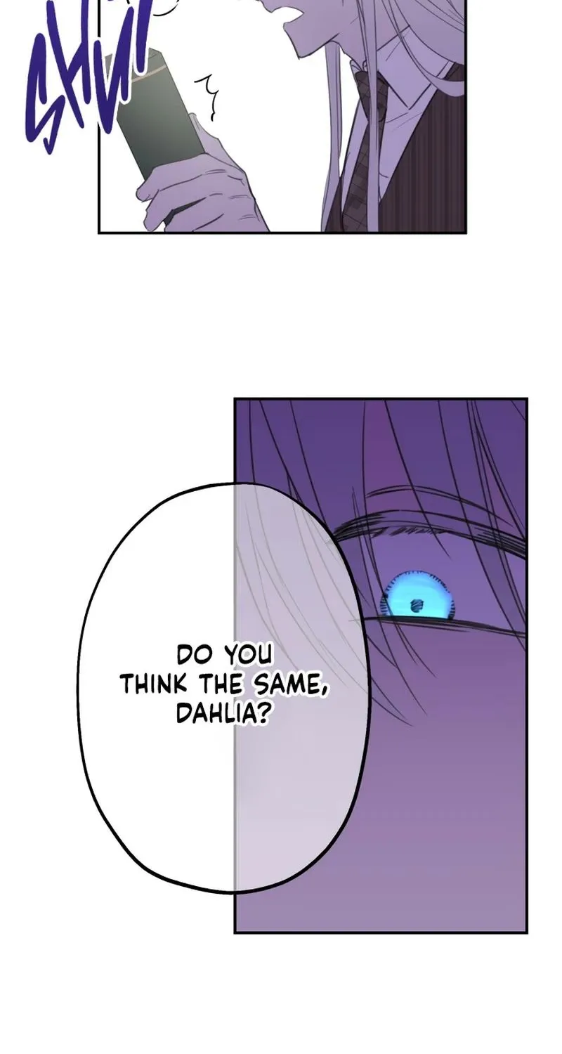 The World