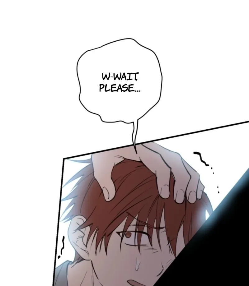 The World