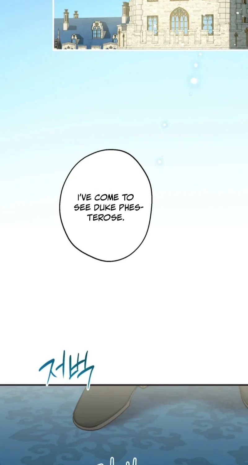 The World