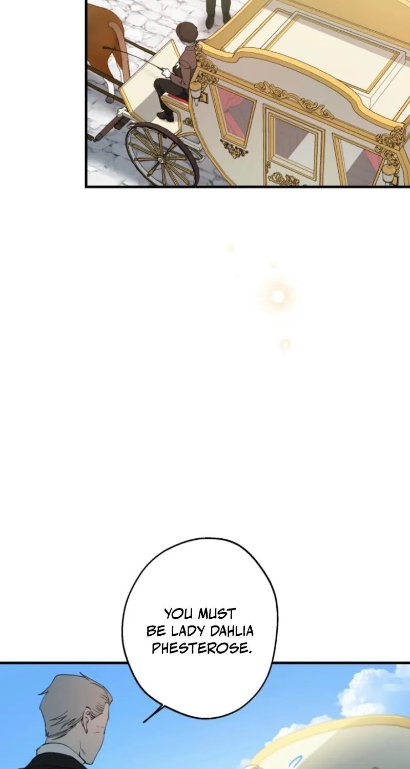 The World