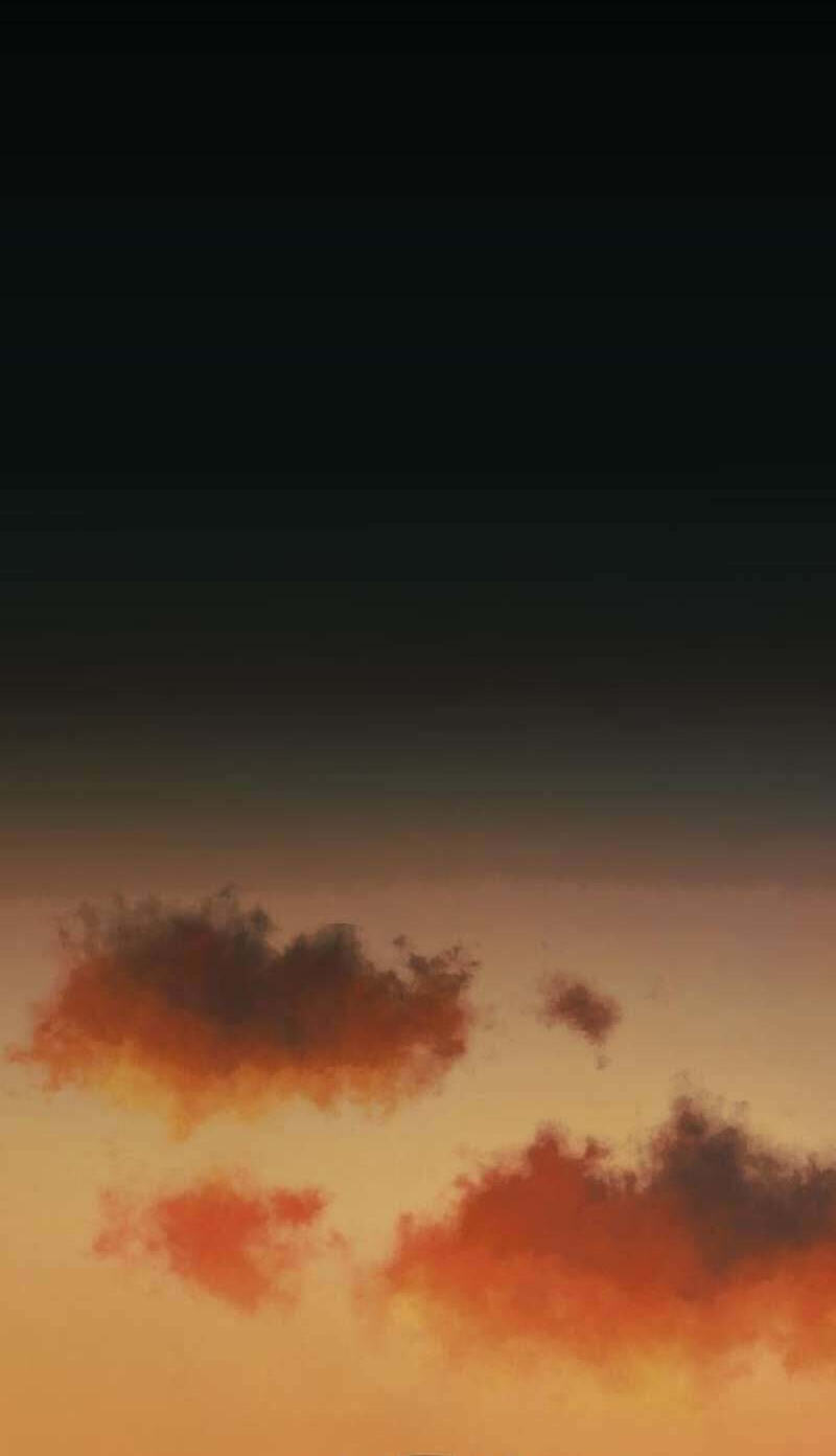 The World