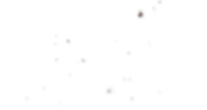The World Without My Sister Who Everyone Loved Chapter 1 page 80 - 