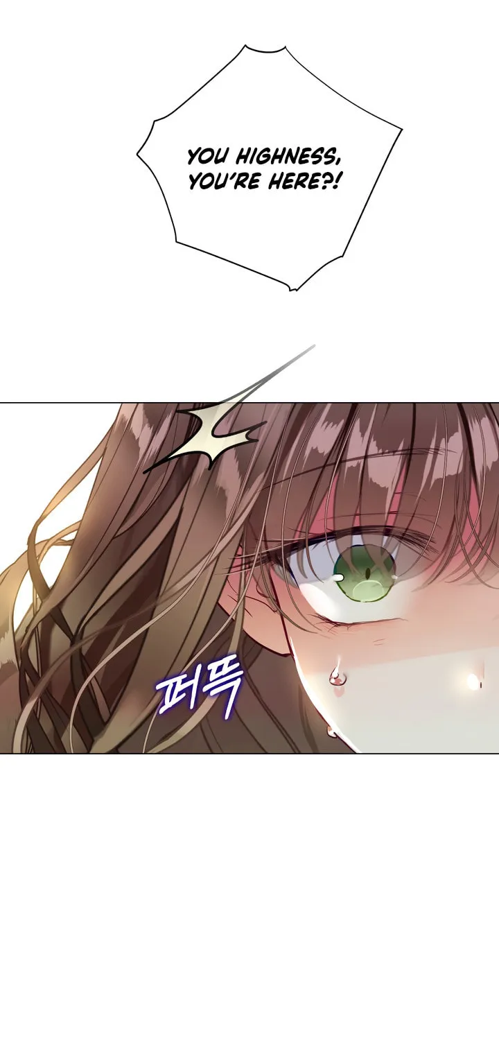 The World Without My Sister Who Everyone Loved Chapter 1 page 93 - 