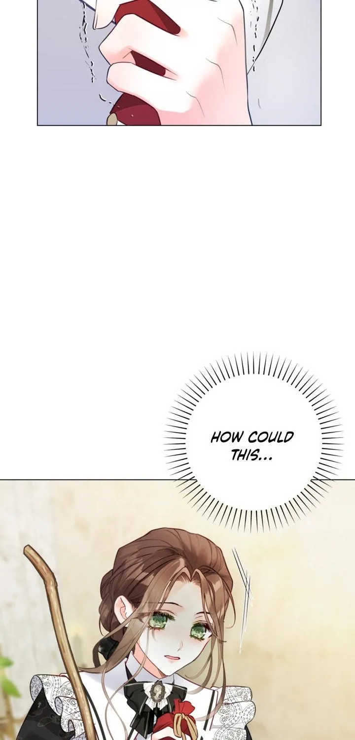 The World Without My Sister Who Everyone Loved Chapter 14 page 47 - 