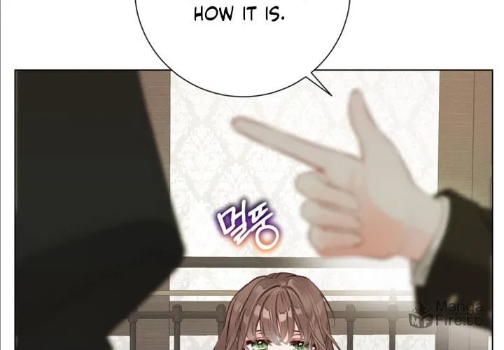 The World Without My Sister Who Everyone Loved Chapter 15 page 17 - 