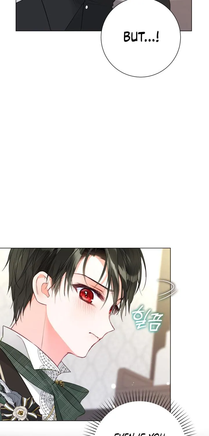 The World Without My Sister Who Everyone Loved Chapter 15 page 27 - 