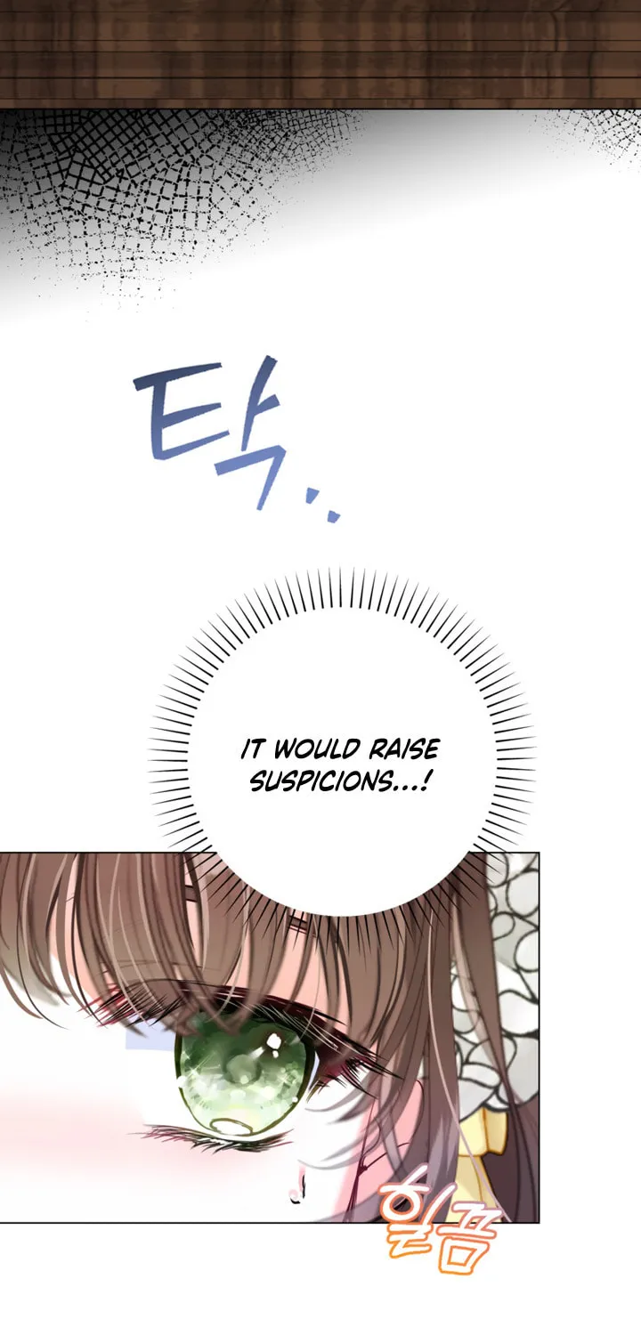 The World Without My Sister Who Everyone Loved Chapter 17 page 43 - 