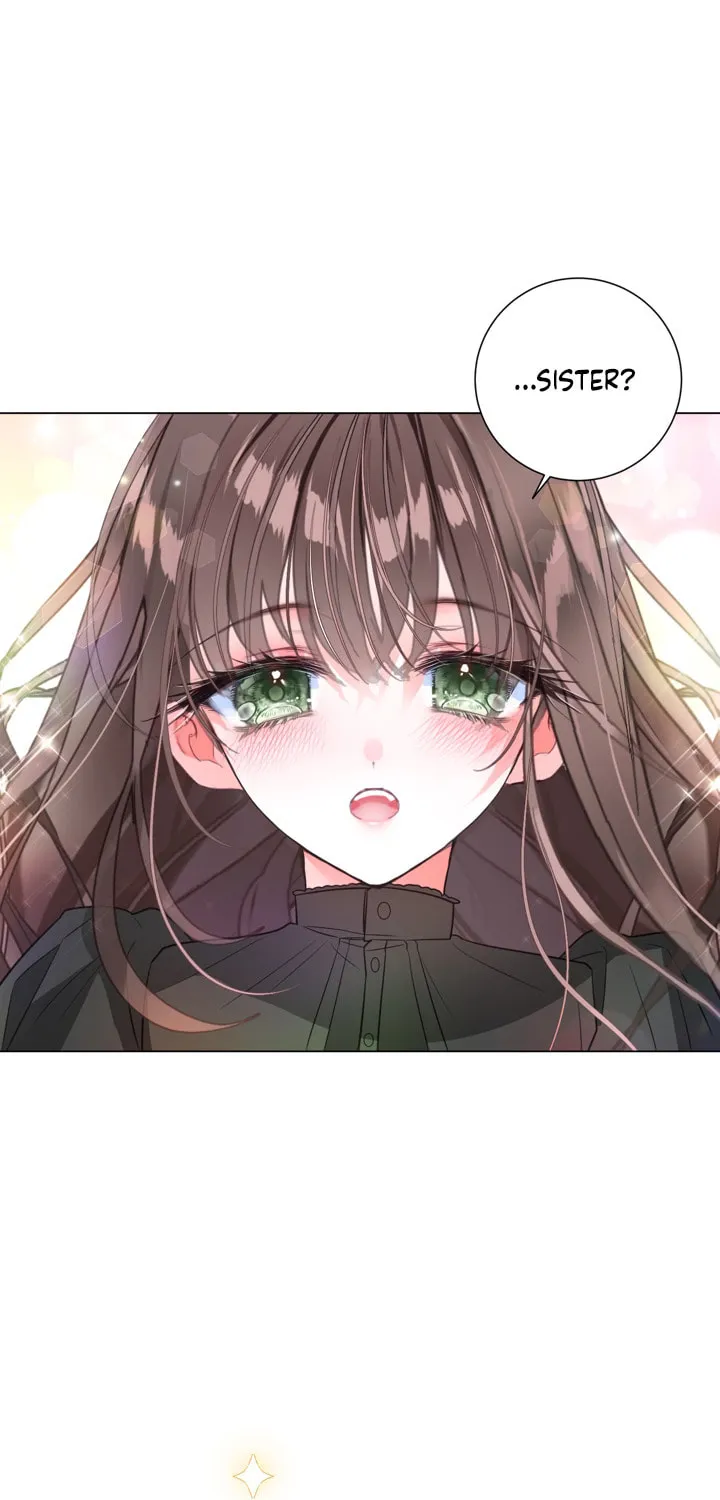 The World Without My Sister Who Everyone Loved Chapter 2 page 72 - 