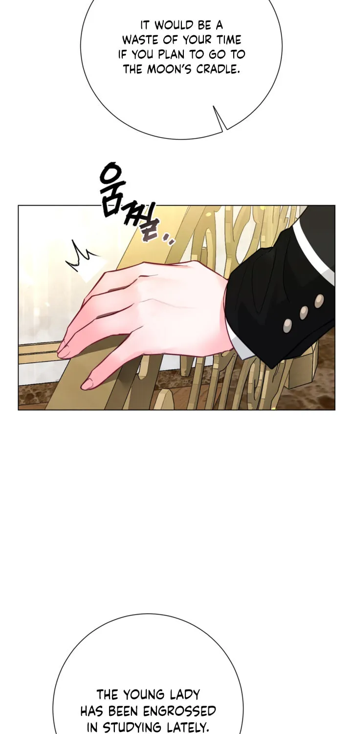 The World Without My Sister Who Everyone Loved Chapter 20 page 73 - 